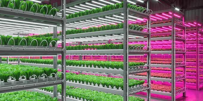 A Guide Horticultural Lighting | AgriTechTomorrow