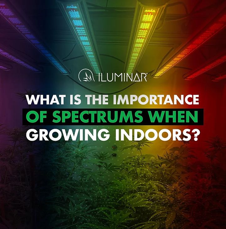 What is the importance of spectrums when growing indoors?