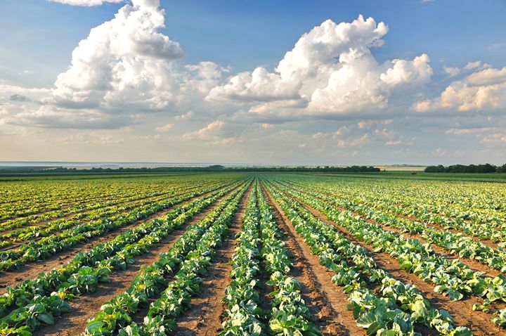 Addressing Environmental and Water Challenges in Farming