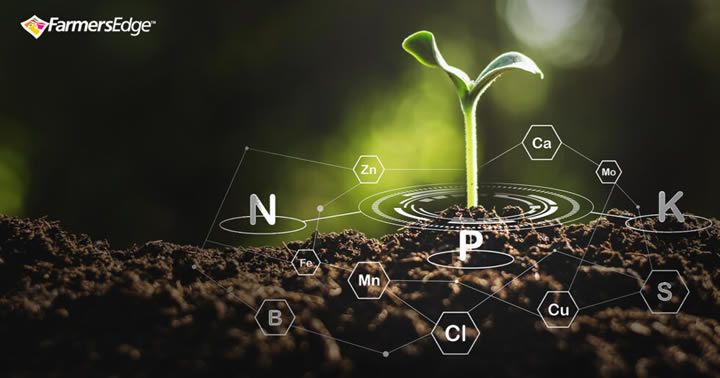 Revolutionizing Nutrient Management with Virtual Soil Testing (VST)