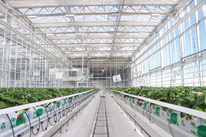 GrowSpan To Host Grand Opening Event For New Venlo Glass Greenhouse On Thursday, April 3rd At Dyersville, Iowa Campus